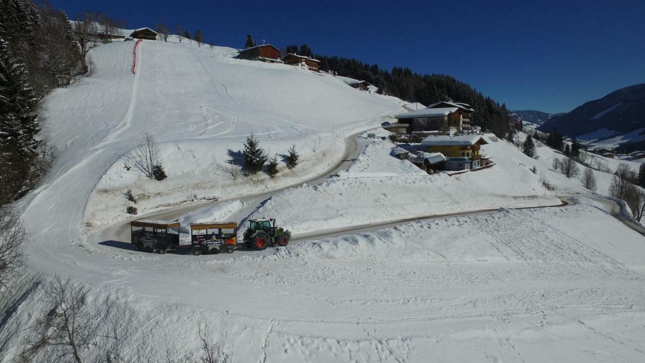Ski In-Ski Out - Gaestehaeuser Saalbach-Hinterglemm - Wallegghof Christianhof Экстерьер фото